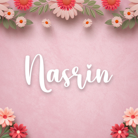 Free photo of Name DP: nasrin