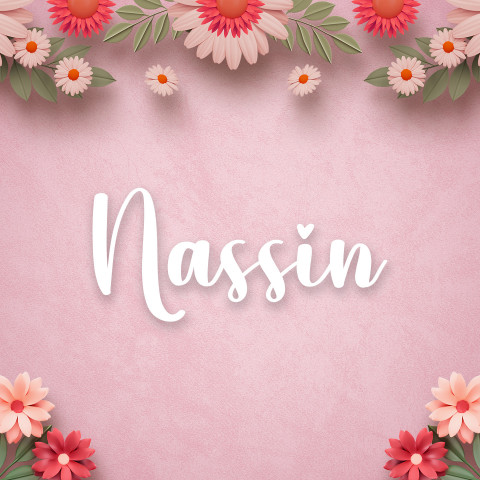 Free photo of Name DP: nassin