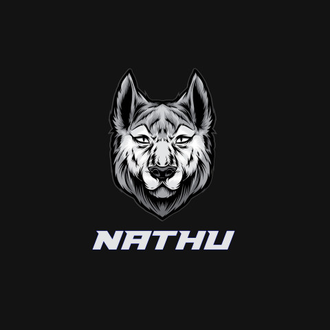 Free photo of Name DP: nathu