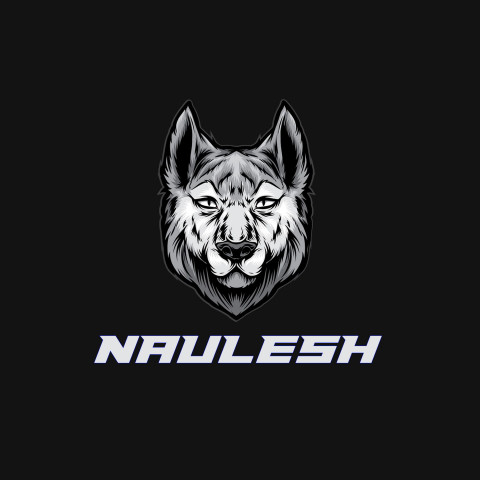 Free photo of Name DP: naulesh