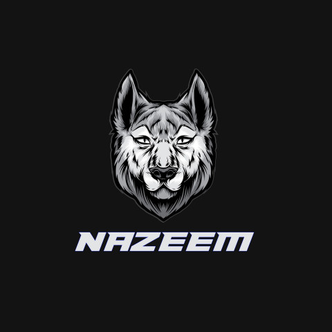 Free photo of Name DP: nazeem