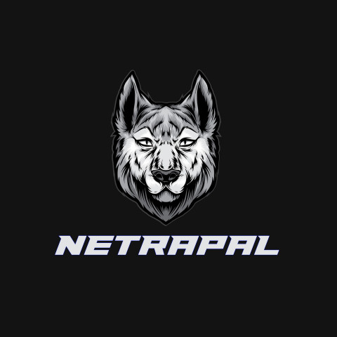 Free photo of Name DP: netrapal