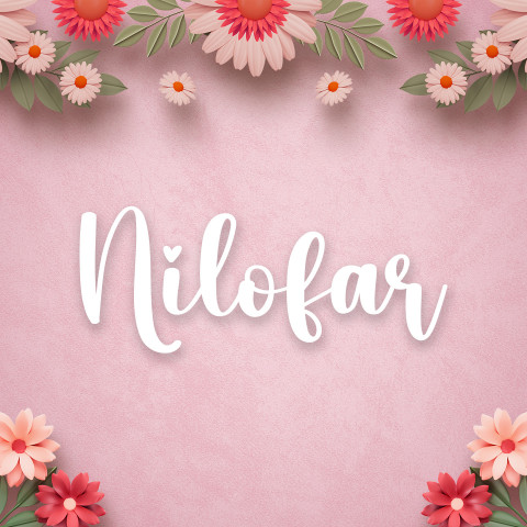 Free photo of Name DP: nilofar