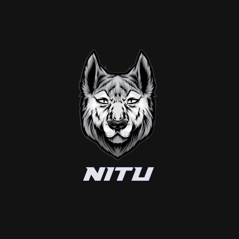 Free photo of Name DP: nitu