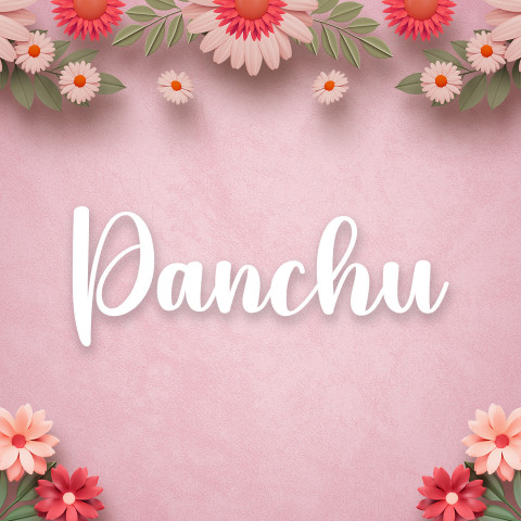 Free photo of Name DP: panchu