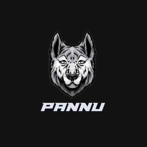 Free photo of Name DP: pannu