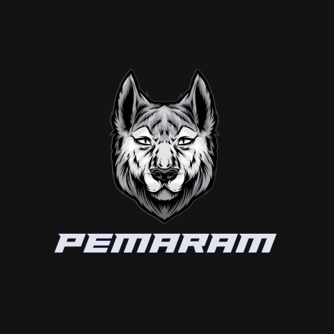 Free photo of Name DP: pemaram