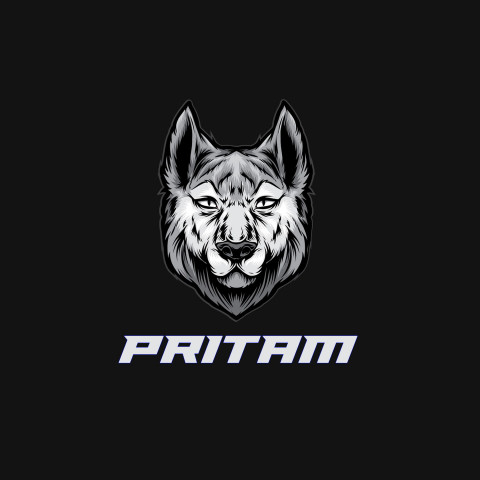 Free photo of Name DP: pritam