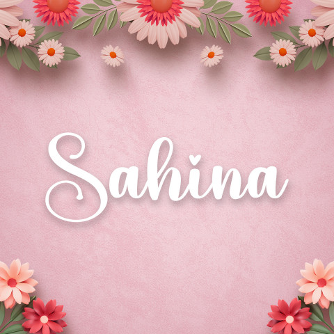 Free photo of Name DP: sahina