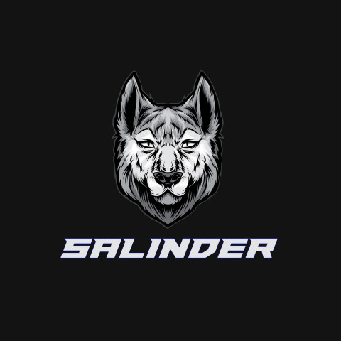 Free photo of Name DP: salinder