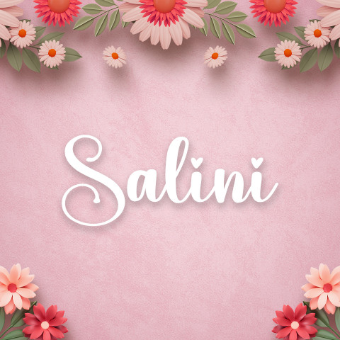 Free photo of Name DP: salini