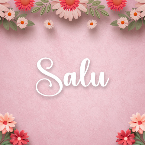 Free photo of Name DP: salu