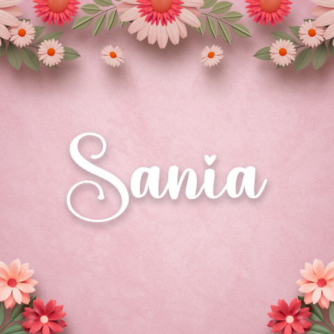 Free photo of Name DP: sania