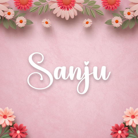 Free photo of Name DP: sanju