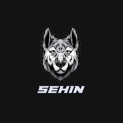 Free photo of Name DP: sehin