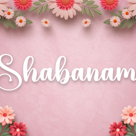 Free photo of Name DP: shabanam