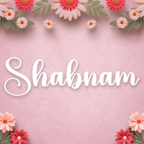 Free photo of Name DP: shabnam