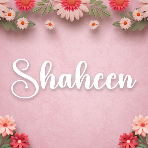 Free photo of Name DP: shaheen