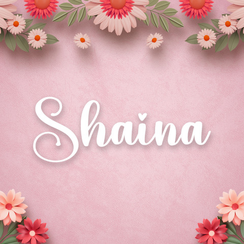 Free photo of Name DP: shaina