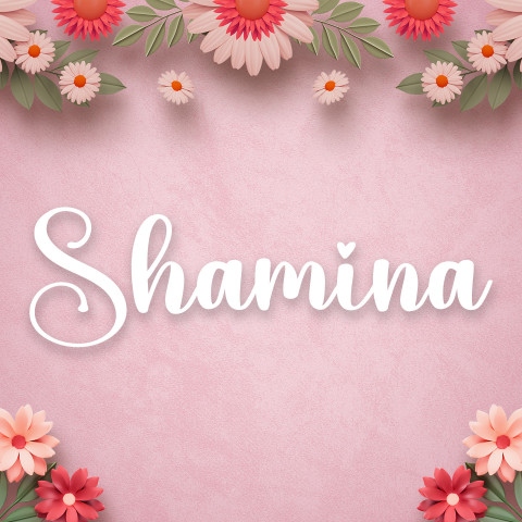 Free photo of Name DP: shamina