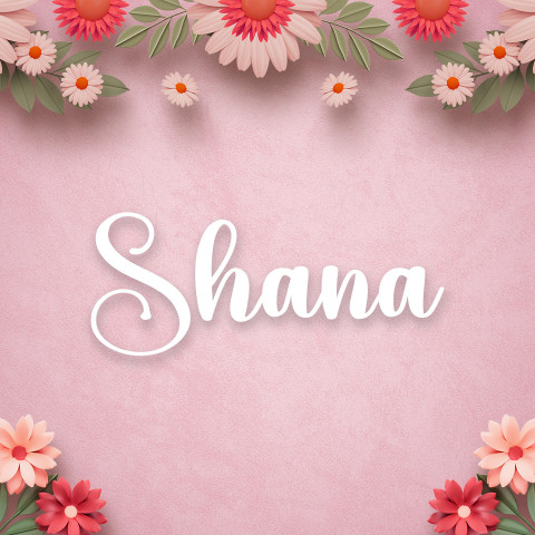 Free photo of Name DP: shana