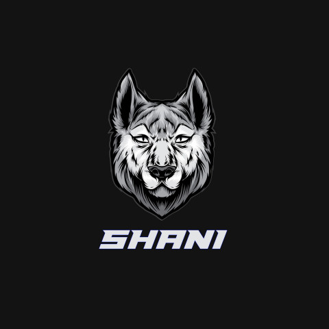 Free photo of Name DP: shani
