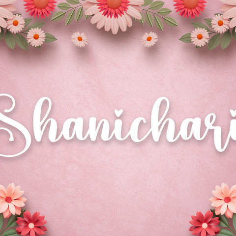 Free photo of Name DP: shanichari