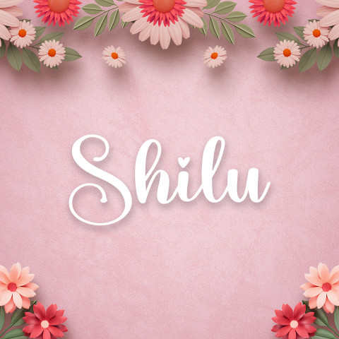 Free photo of Name DP: shilu