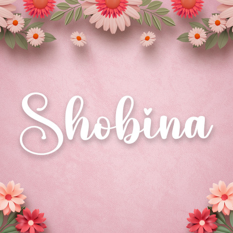 Free photo of Name DP: shobina