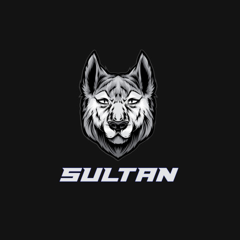 Free photo of Name DP: sultan