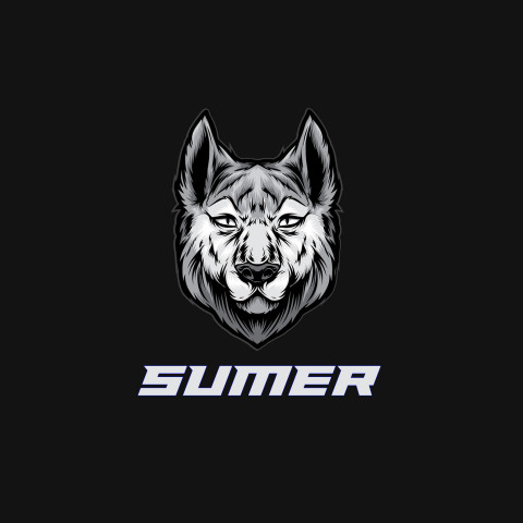 Free photo of Name DP: sumer