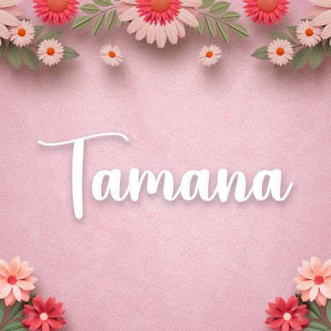 Free photo of Name DP: tamana