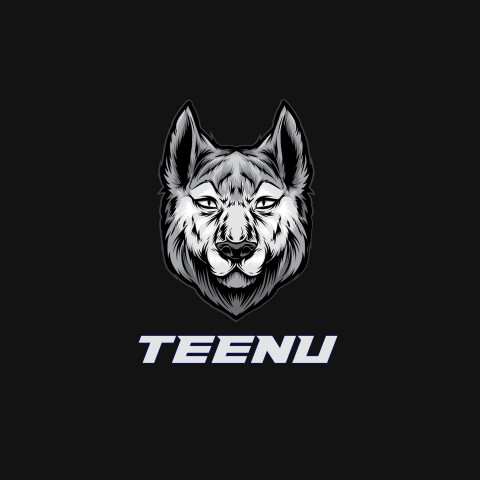 Free photo of Name DP: teenu