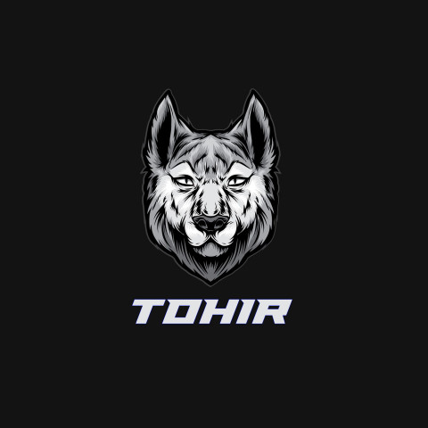 Free photo of Name DP: tohir