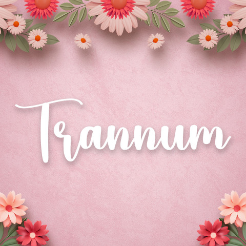 Free photo of Name DP: trannum