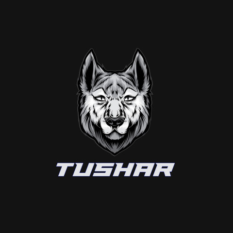 Free photo of Name DP: tushar