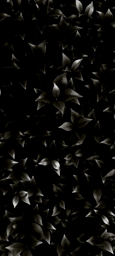 Free photo of Nature Amoled Wallpaper with Black, Black and white & Pattern