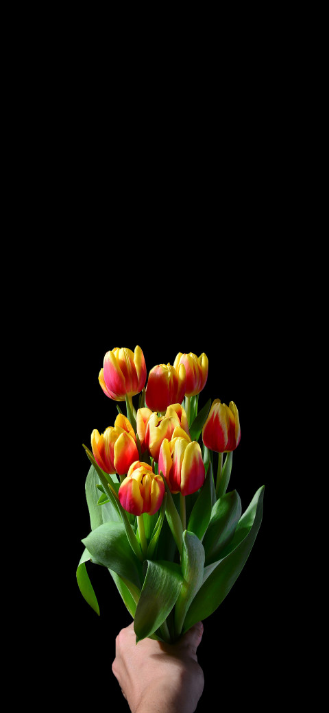 someone holding a bouquet of yellow and red tulips in their hand