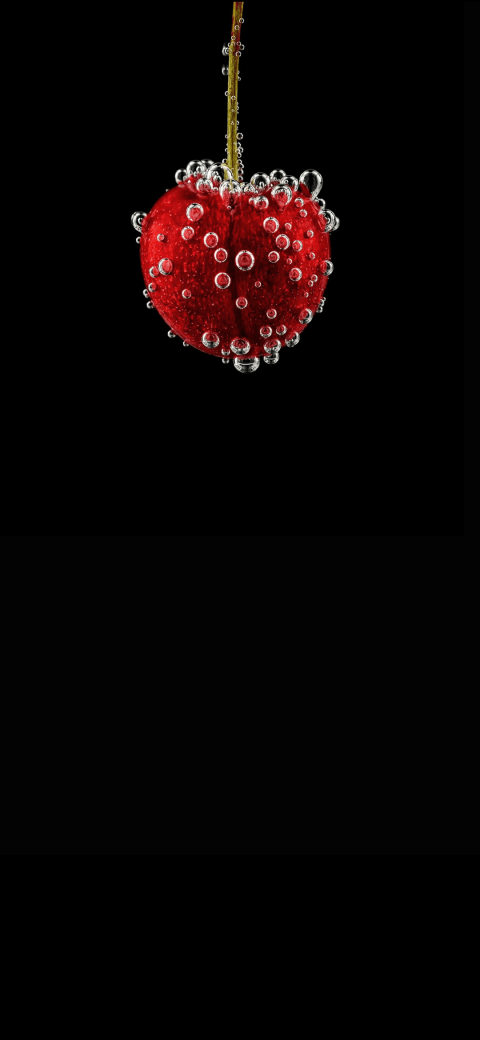 red Berry with bubbles floating