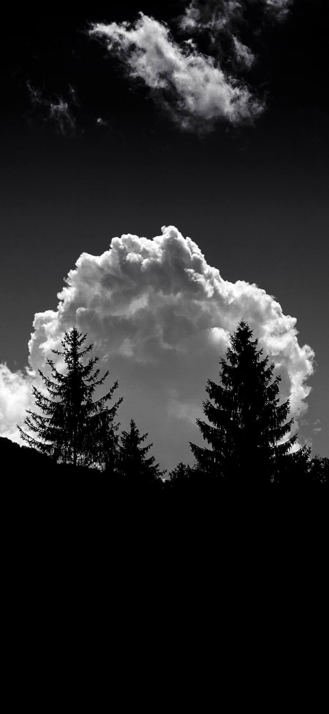 view of a cloud in the sky with trees in the foreground