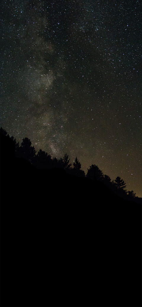 Free photo of night sky with stars and milky over trees and a hill