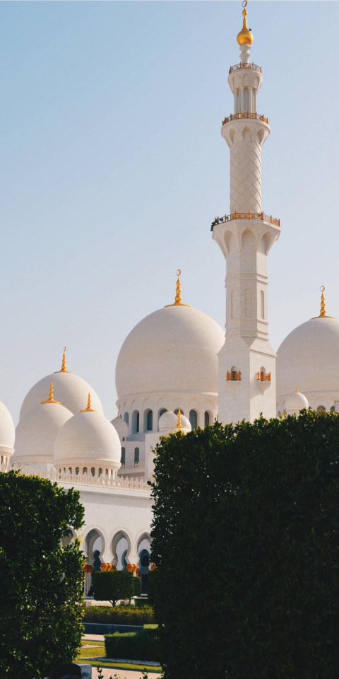 Free photo of Sheikh Zayed Grand Mosque Wallpaper #134