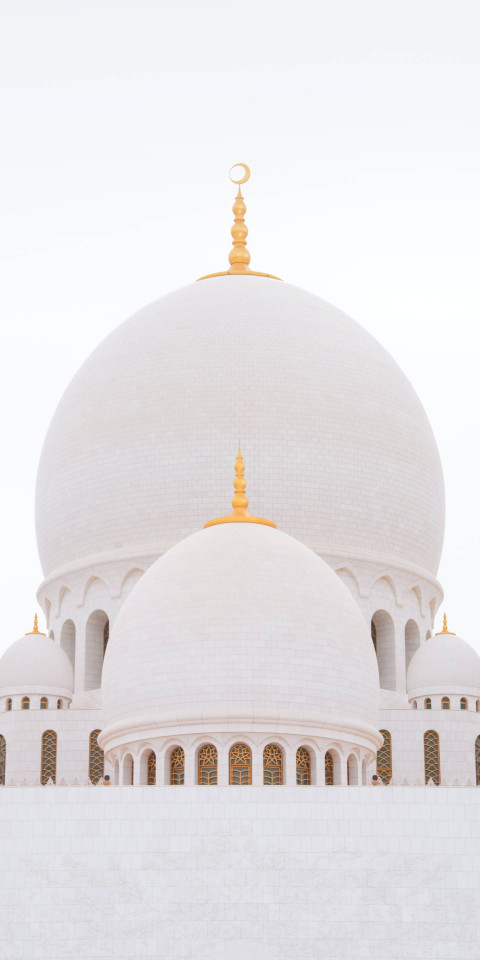 Free photo of Sheikh Zayed Grand Mosque Wallpaper #304