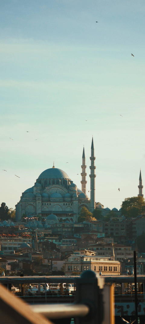 Free photo of Suleymaniye Mosque Wallpaper #351