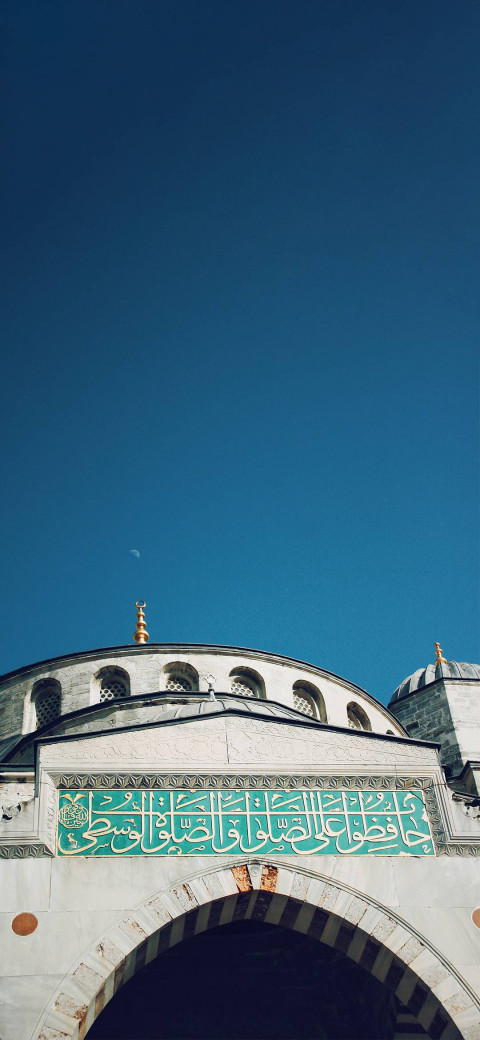 Free photo of The Blue Mosque Wallpaper #096
