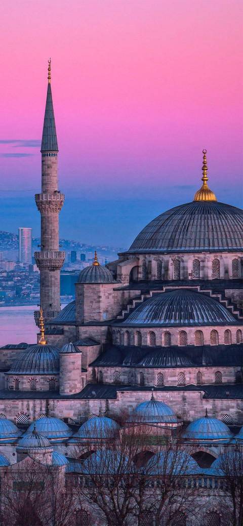 Free photo of The Blue Mosque Wallpaper #274