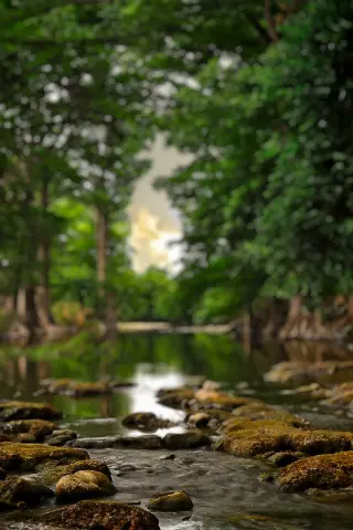 Blur CB Editing Background (with River and Nature)