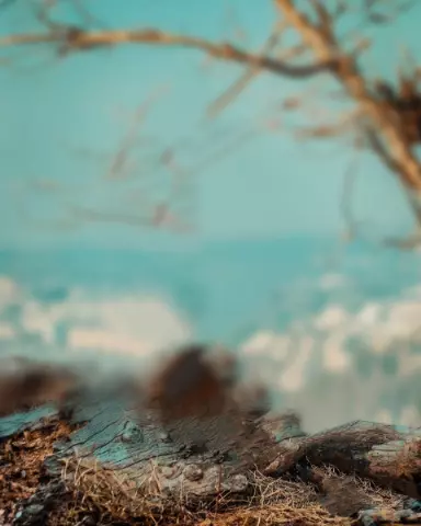 Blur CB Editing Background (with Background and Beach)