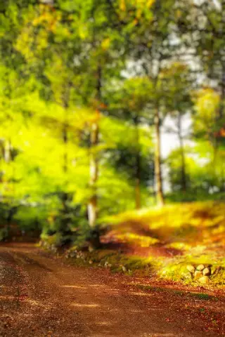 Blur CB Editing Background (with Fall and Season)