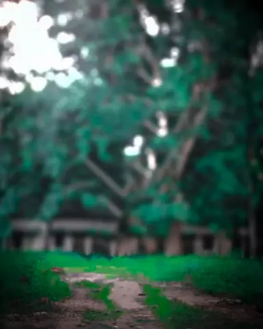 Blur CB Editing Background (with Tree and Landscape)